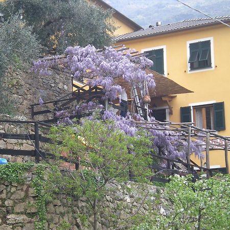 Agriturismo Il Sogno Lorsica Exteriér fotografie