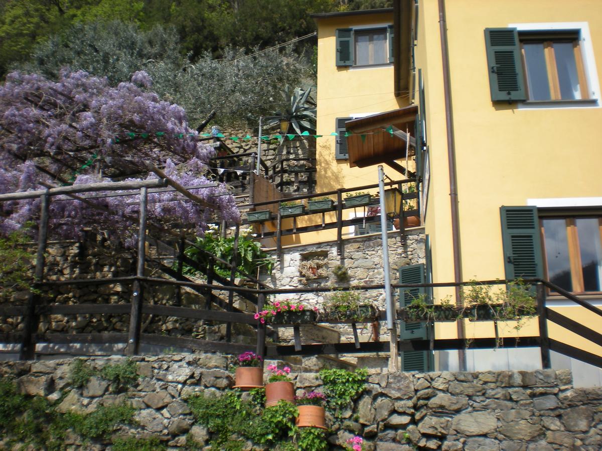 Agriturismo Il Sogno Lorsica Exteriér fotografie